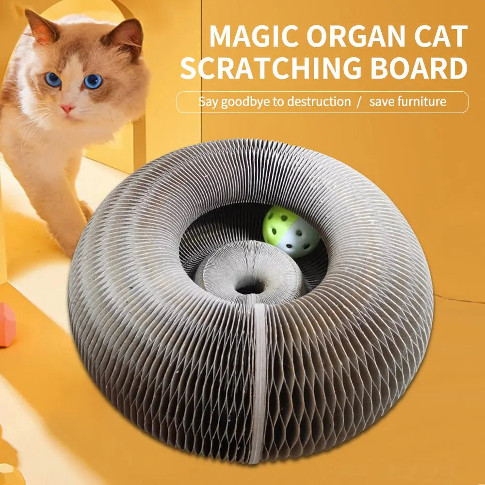 Magic Organ Foldable Cat Scratch Board Toy